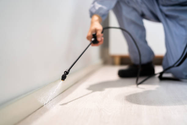 Licensed Fumigation Services service in Albuquerque, NM - Nex Pest Control