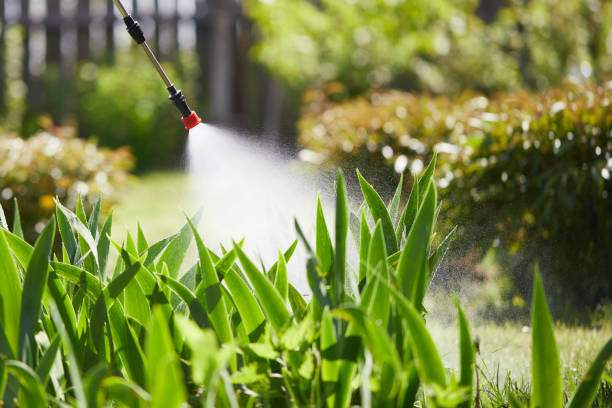 24/7 Emergency Fumigation Services experts in Albuquerque, NM