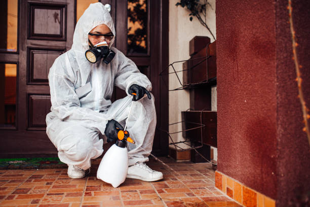 Reliable Fumigation Services contractor in Albuquerque, NM by Nex Pest Control