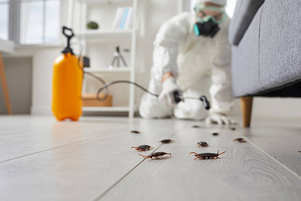 Trusted Mosquito Control service in Albuquerque, NM - Nex Pest Control